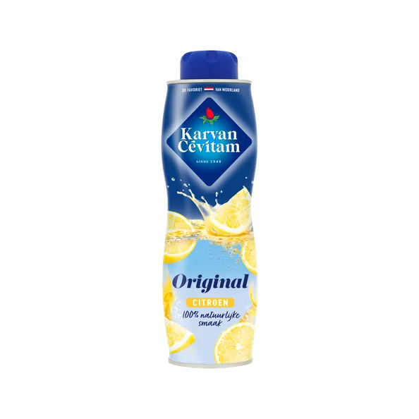 25305